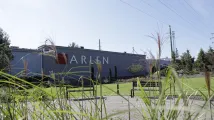 52505431.Arlen2.jpg