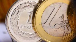 zlotowka_euro.jpg