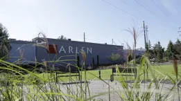 52505431.Arlen2.jpg