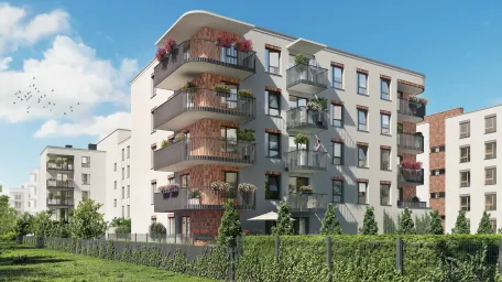 Dom Development