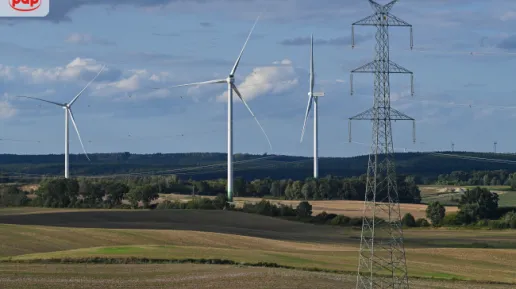 Farma wiatrowa w Pelplinie